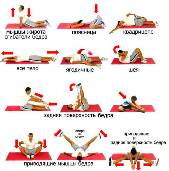 упражнения на растяжку различных групп мышц